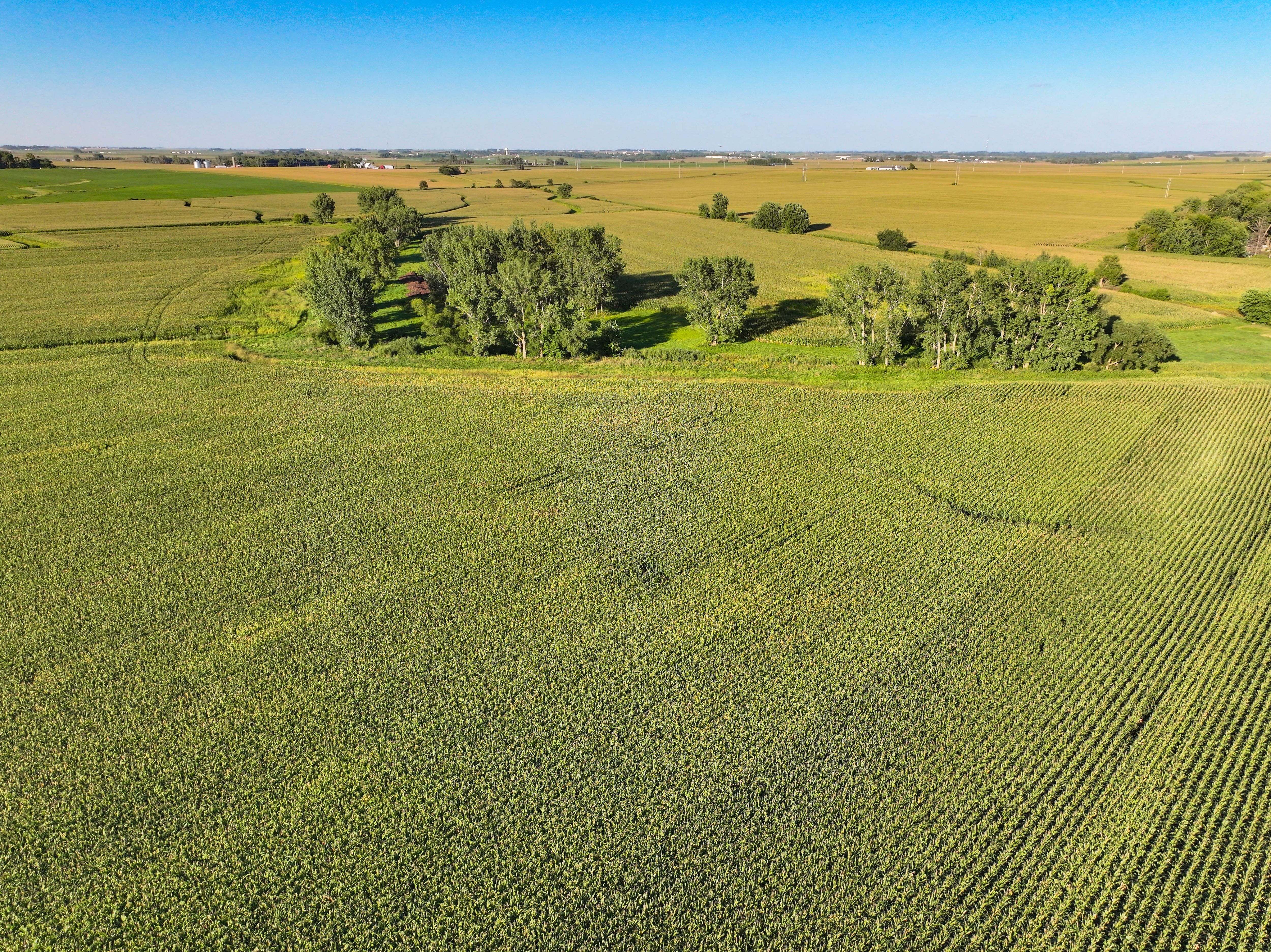 Listing Photo: 28-NEIA Land Auction